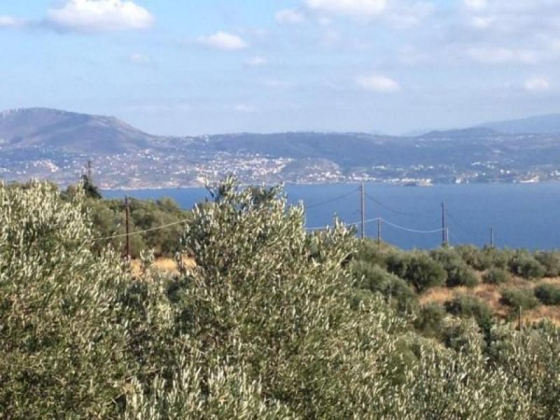 Sternes Kreta, Sternes: Gründstück mit dem Panoramablick auf das Meer von Sternes Edge Grundstück kaufen